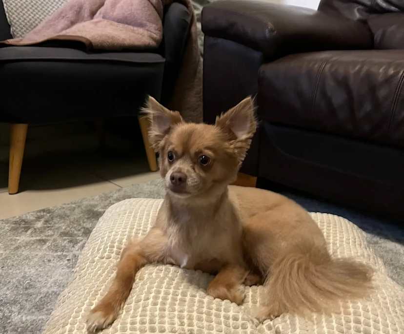 $350, Flatshare, 5 bathrooms, Surry Hills NSW 2010