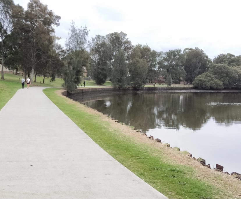 Room for Rent in Canterbury, Sydney 350, Flexible...