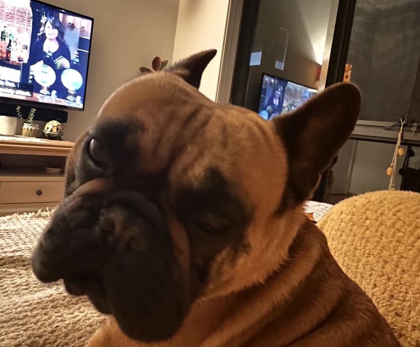 $280, Share-house, 2 bathrooms, Pascoe Vale VIC 3044