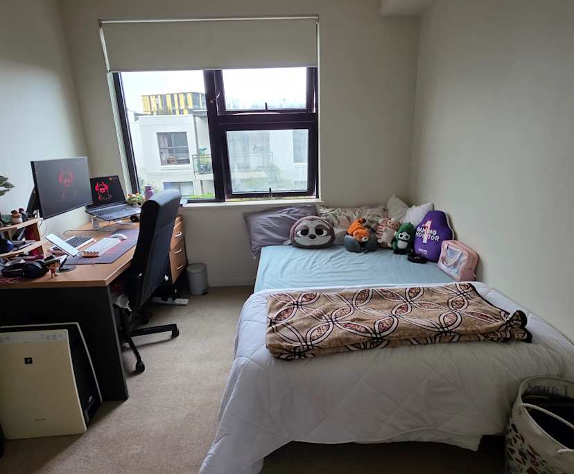 Furnished room in a flatshare