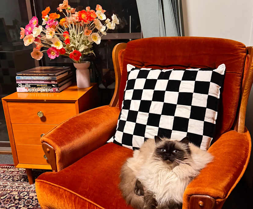 $285, Share-house, 3 bathrooms, Marion SA 5043