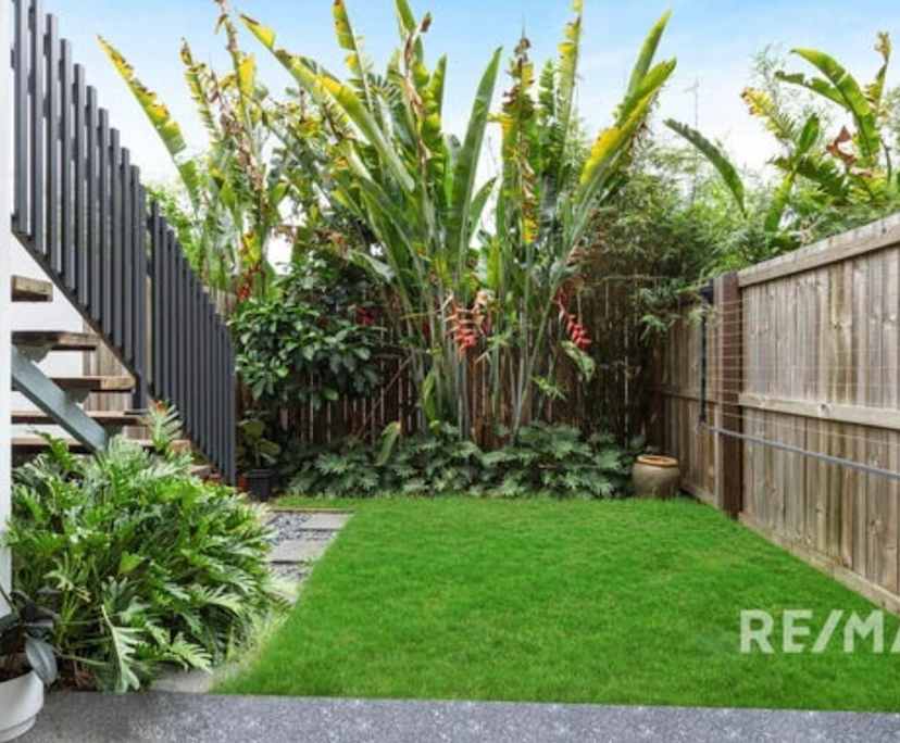 $250, Share-house, 4 bathrooms, Stones Corner QLD 4120