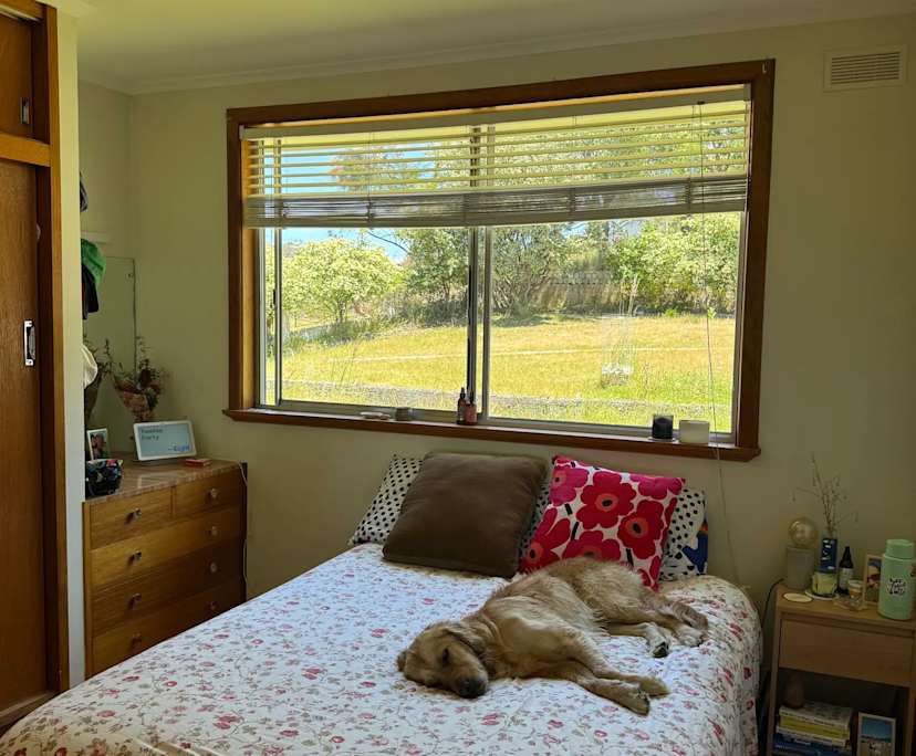 Room in a share house