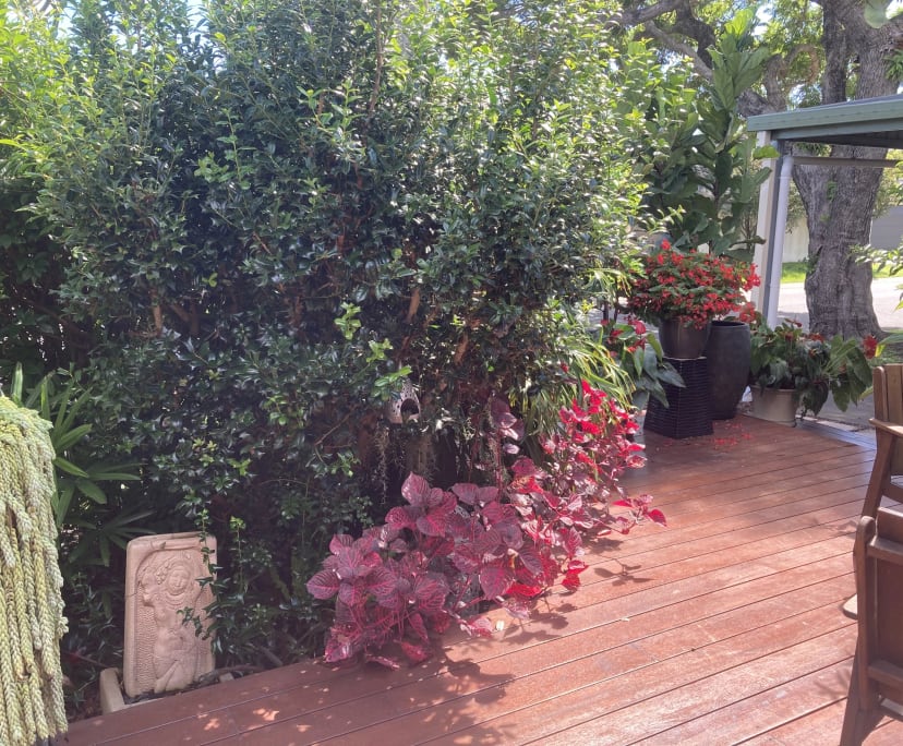 $300, Share-house, 4 bathrooms, Broadbeach Waters QLD 4218