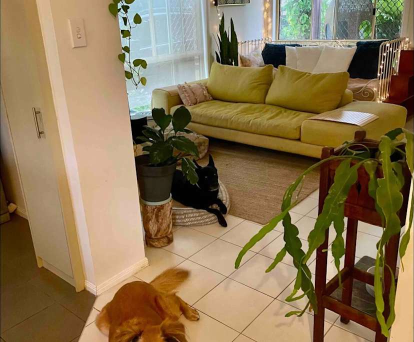 $360, Student-accommodation, 3 bathrooms, Tweed Heads South NSW 2486