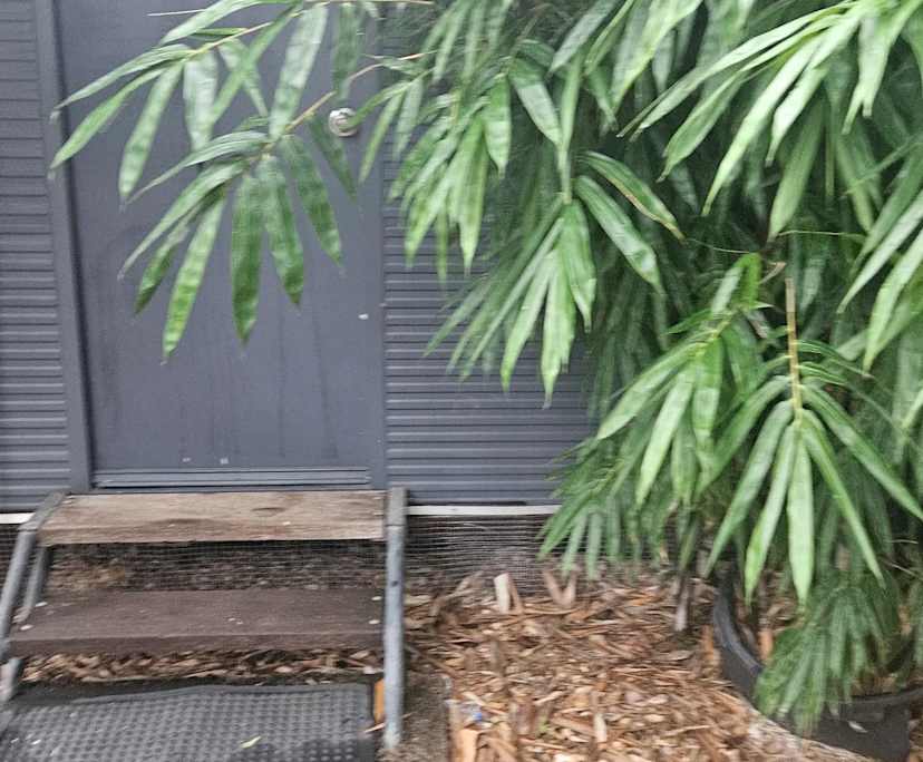 $300, Student-accommodation, 4 bathrooms, Alawa NT 0810