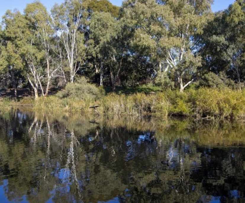 $295-425, Share-house, 4 rooms, Lockleys SA 5032, Lockleys SA 5032