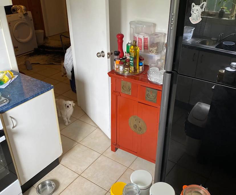 $350, Share-house, 2 rooms, Bexley North NSW 2207, Bexley North NSW 2207