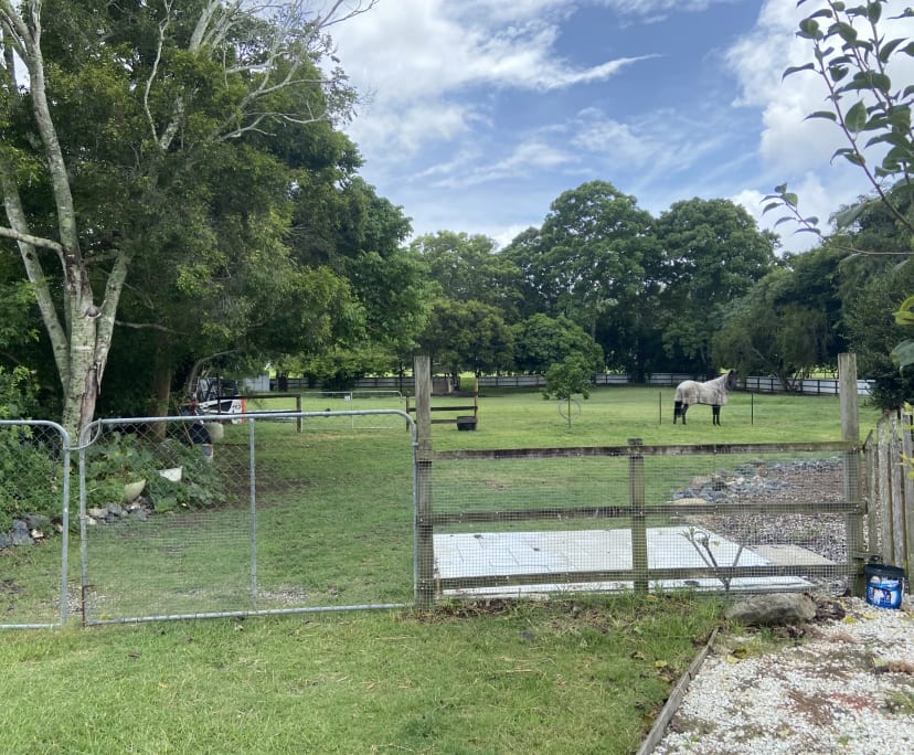 Room in a share house