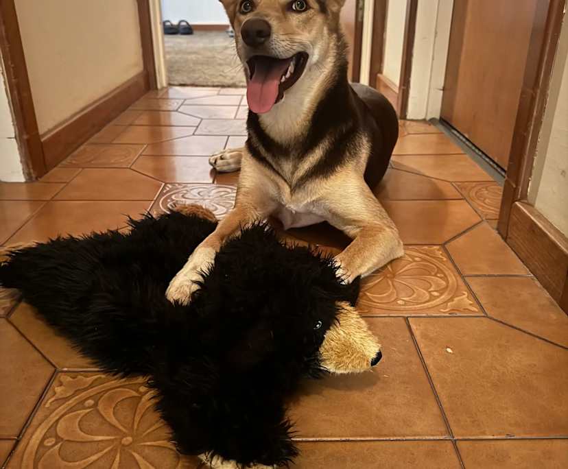 Unfurnished room in a share house