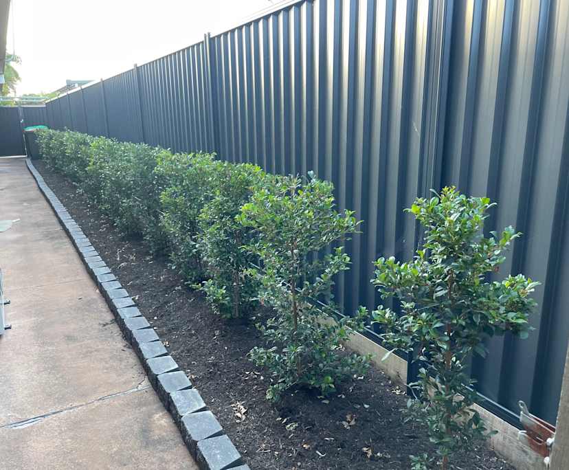 $300, Share-house, 5 bathrooms, Cornubia QLD 4130