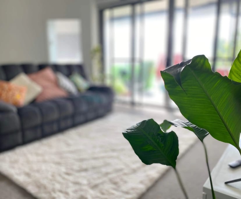 Room in a flatshare