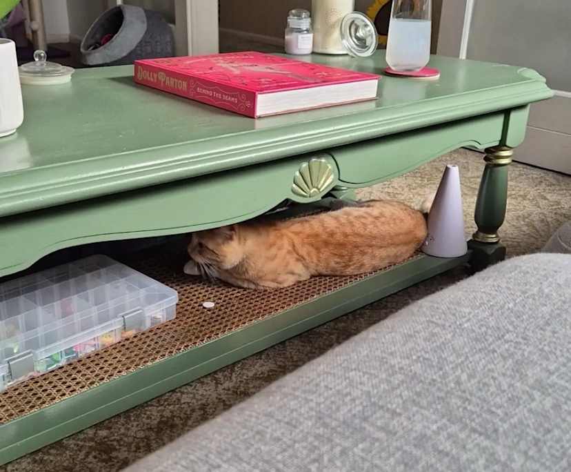 $208, Flatshare, 2 bathrooms, Moonee Ponds VIC 3039