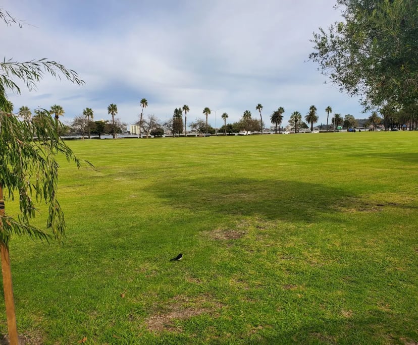 One Bed Flat for Rent in Perth, Perth 400, Furnis...