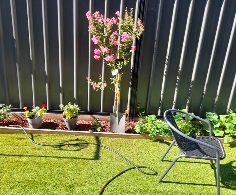 $250, Flatshare, 2 bathrooms, Jacana VIC 3047