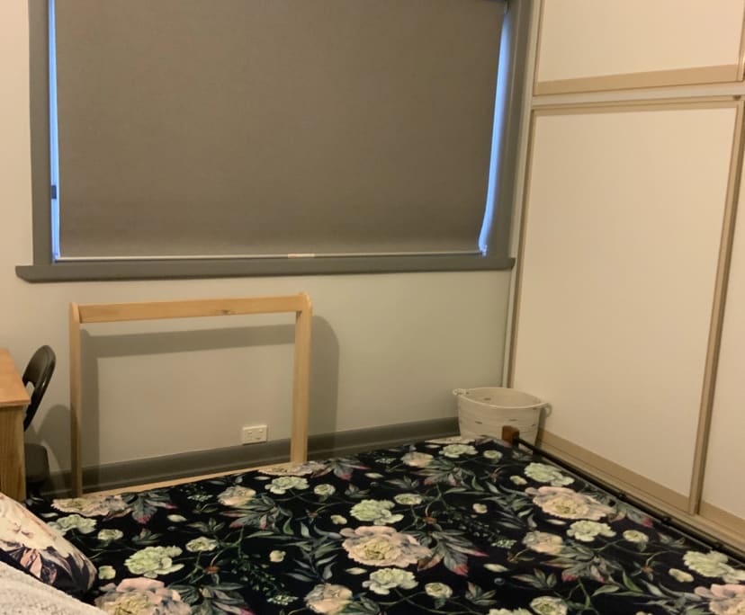 Room for Rent in Bendigo, VIC 150, Furnished, Sha...