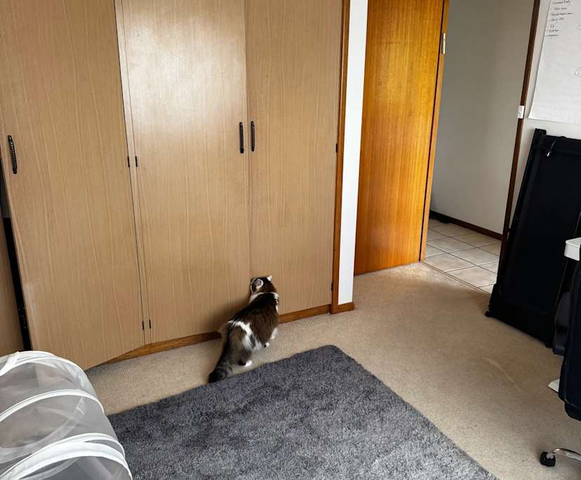 $360, Share-house, 4 bathrooms, Murwillumbah NSW 2484