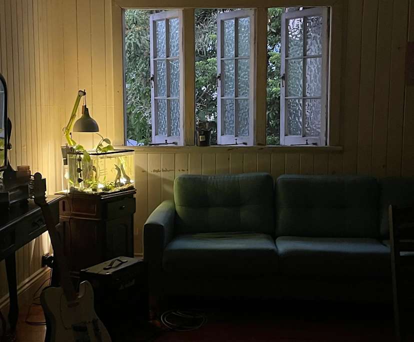 $203, Share-house, 3 bathrooms, Annerley QLD 4103