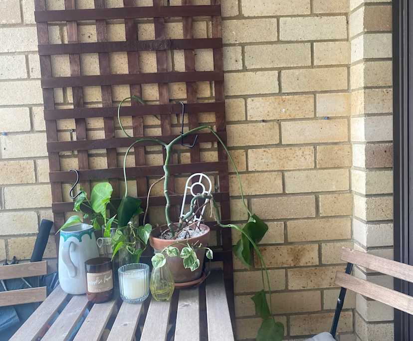 $350, Flatshare, 3 bathrooms, Wollstonecraft NSW 2065