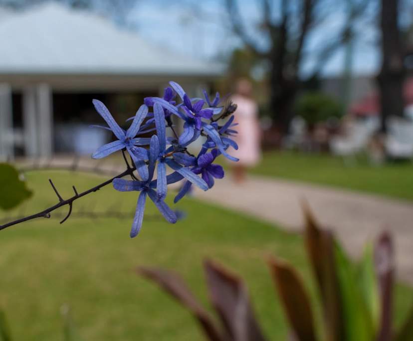 $380-650, Share-house, 2 rooms, East Brisbane QLD 4169, East Brisbane QLD 4169