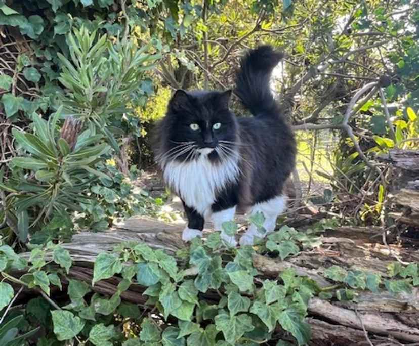 $280, Share-house, 3 bathrooms, Skye VIC 3977