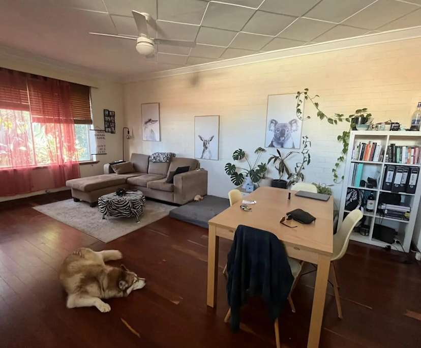 Furnished room in a share house
