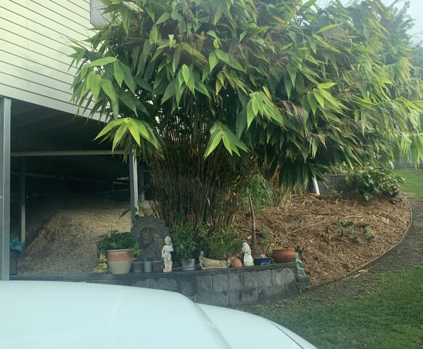 $180, Share-house, 4 bathrooms, Coffs Harbour NSW 2450