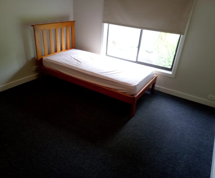 Room in a share house