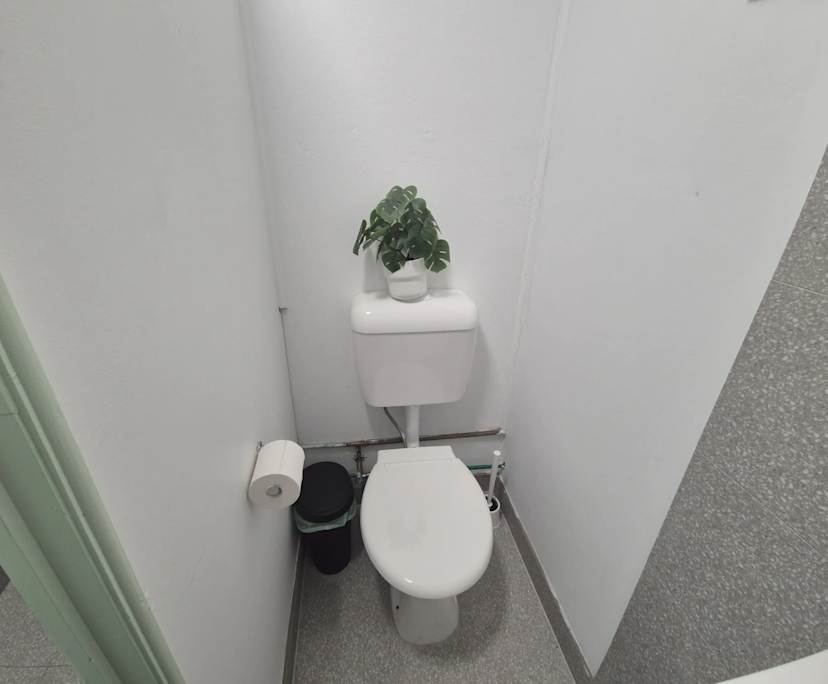$290-310, Share-house, 2 rooms, Rockdale NSW 2216, Rockdale NSW 2216