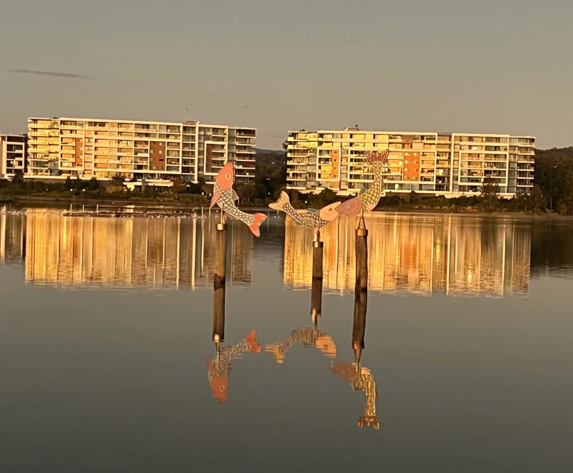 $400, Flatshare, 2 bathrooms, Varsity Lakes QLD 4227