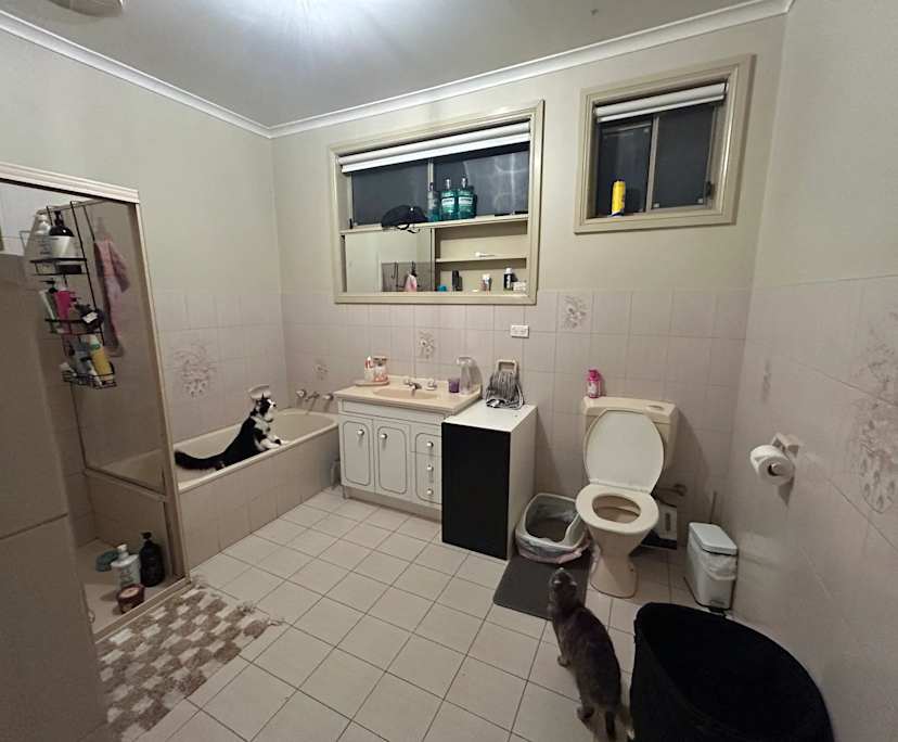 Furnished room in a share house