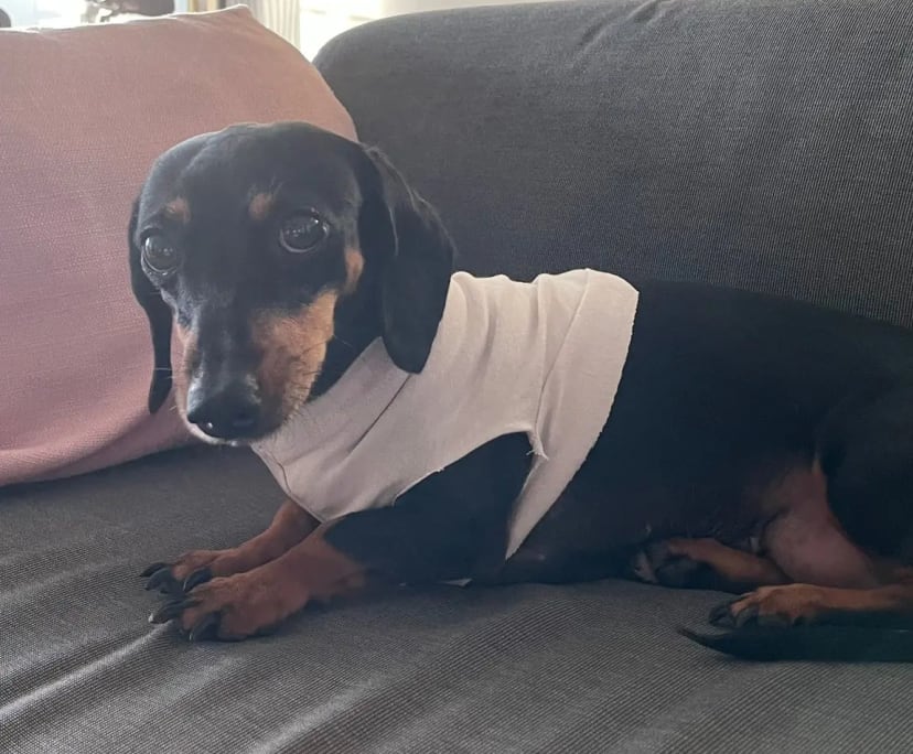 $300, Share-house, 3 bathrooms, Saint Lucia QLD 4067