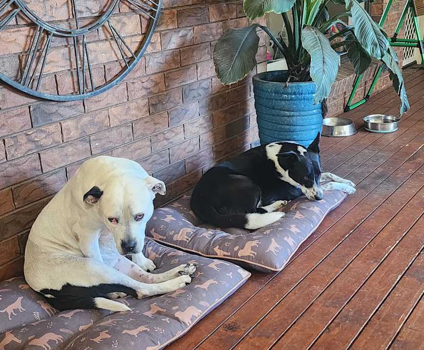 $375, Share-house, 6 bathrooms, Ashmore QLD 4214