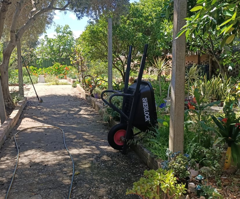 Furnished room in a share house