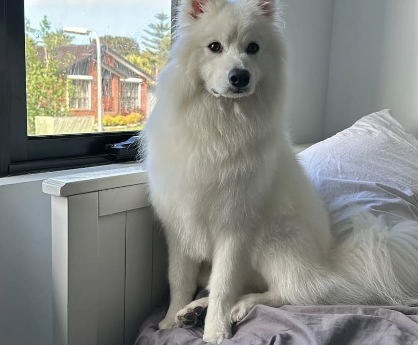 $300, Share-house, 4 bathrooms, Wantirna South VIC 3152