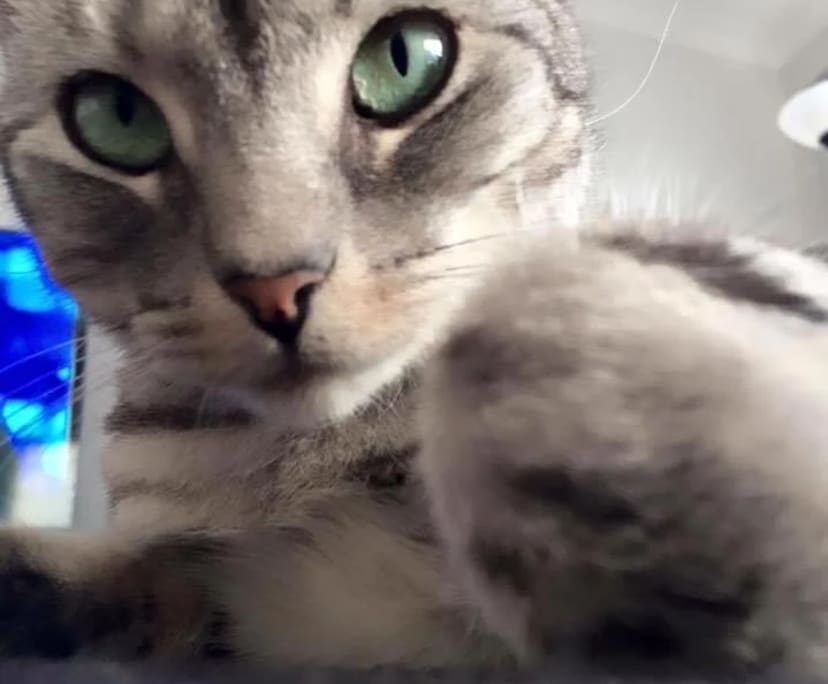 $250, Share-house, 3 bathrooms, Karuah NSW 2324