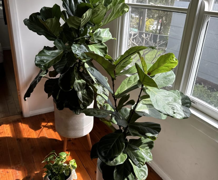 Room for Rent in Charlestown, Newcastle 400, Unfu...