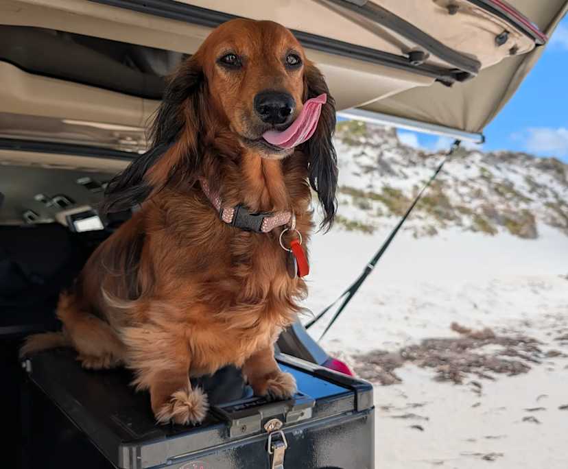 $375, Share-house, 4 bathrooms, Forrestfield WA 6058