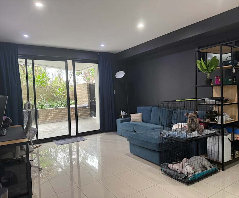 propertyImage