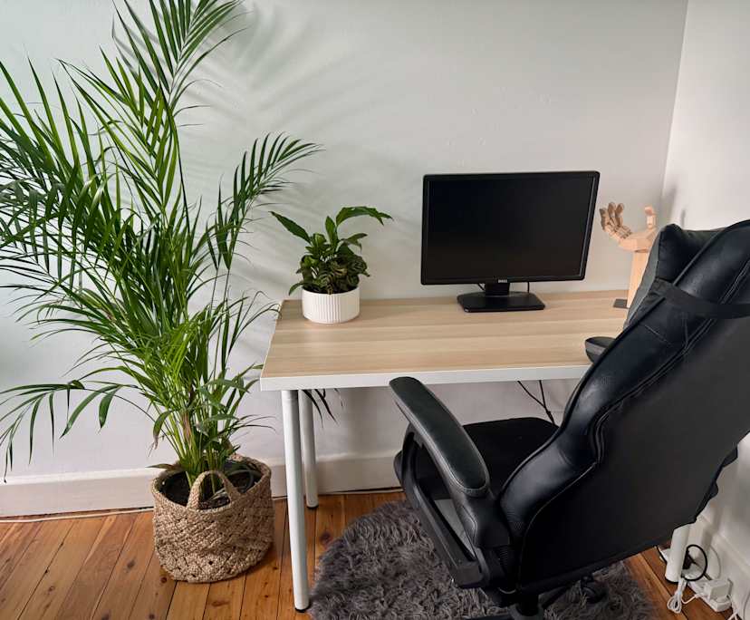 $520, Flatshare, 2 bathrooms, Bronte NSW 2024