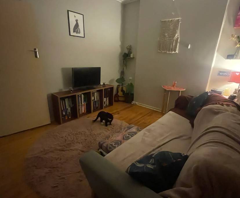 Room in a share house