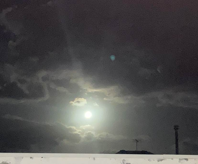 $475, Flatshare, 2 bathrooms, Vaucluse NSW 2030