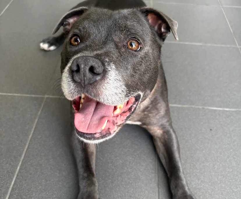 $450, Share-house, 3 bathrooms, Richmond VIC 3121