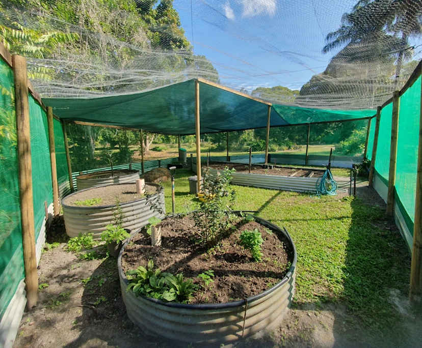 $0, Share-house, 2 rooms, Kuranda QLD 4881, Kuranda QLD 4881