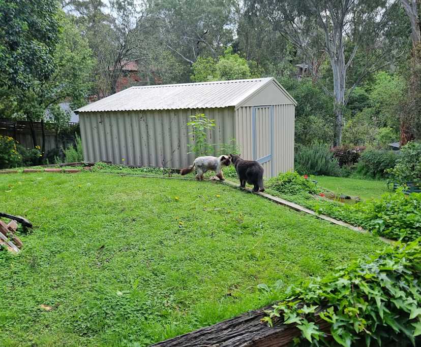 $350, Student-accommodation, 3 bathrooms, Greensborough VIC 3088