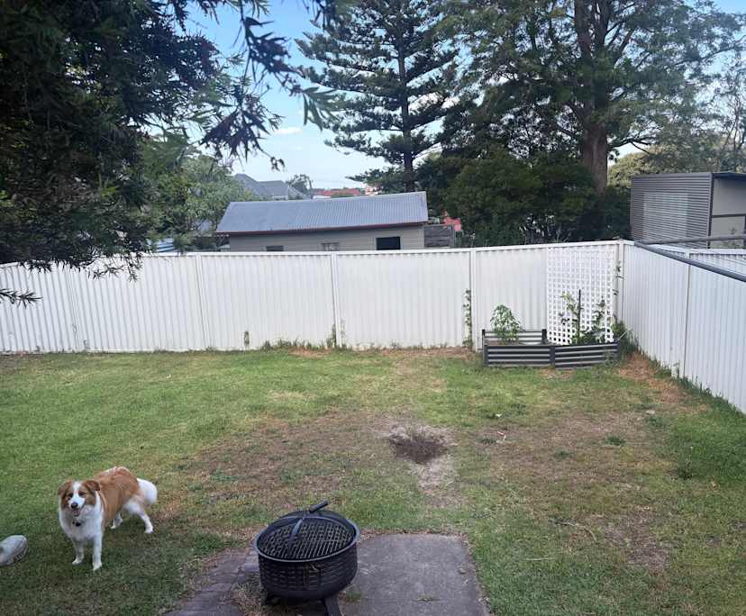 $260, Share-house, 3 bathrooms, Waratah NSW 2298
