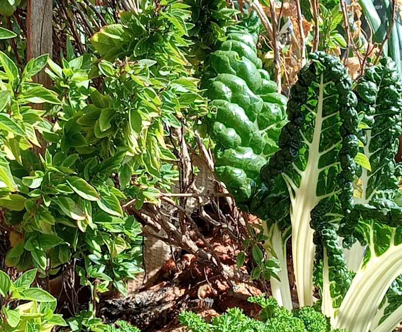 $380-430, Flatshare, 2 rooms, Randwick NSW 2031, Randwick NSW 2031