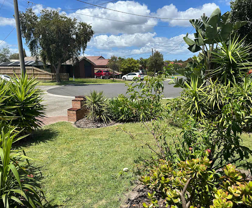 Whole property with 3 rooms for rent