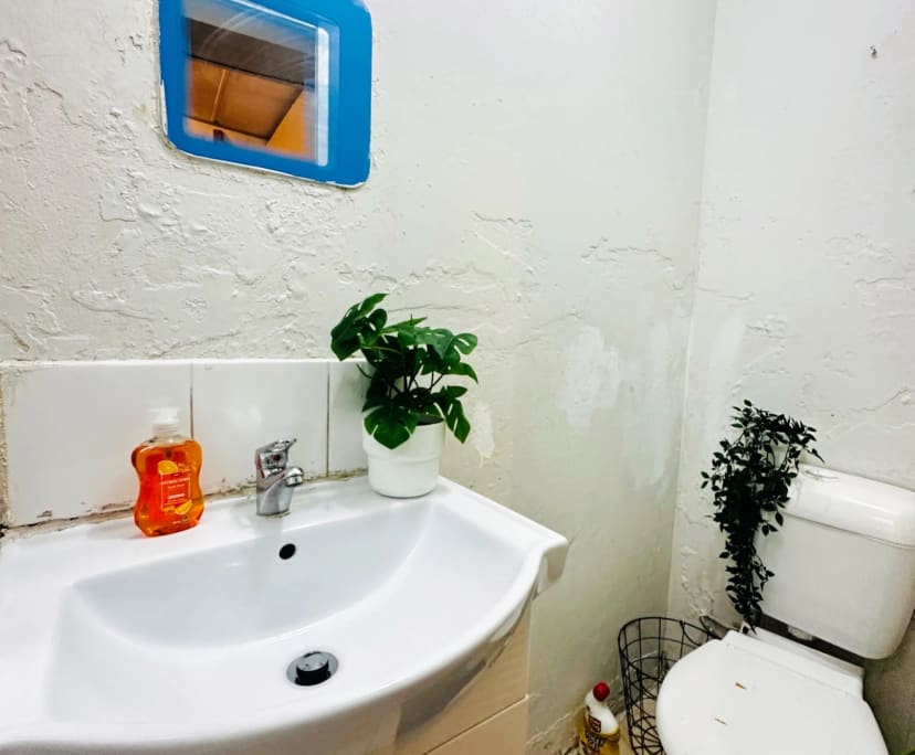 $320, Flatshare, 6 bathrooms, Surry Hills NSW 2010