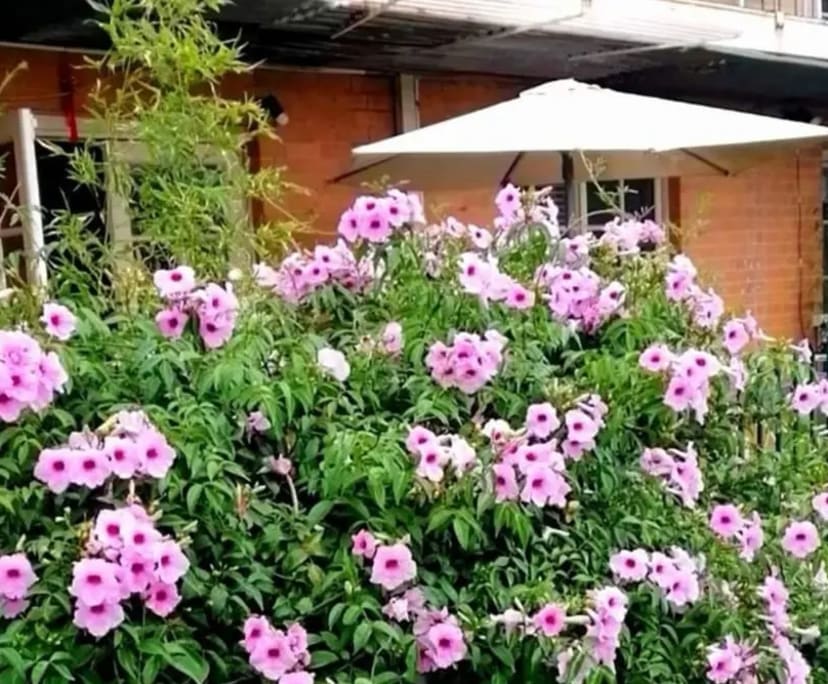 $225-285, Share-house, 2 rooms, Footscray VIC 3011, Footscray VIC 3011